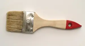 Paint Brushes Stampe: Brush