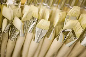 Painting Equipment Stampe: Brushes