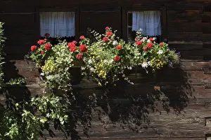 Tyrol Austria Stampe: Bschlabs Tyrol Austria