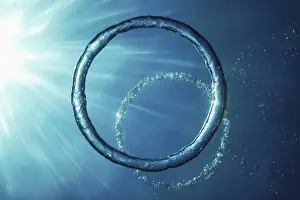 Underwater Ring Stampe: Bubble Ring Underwater ascends towards the Sun