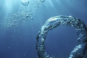 Underwater Photography Stampe: Bubble Ring Underwater, Ring Bubble