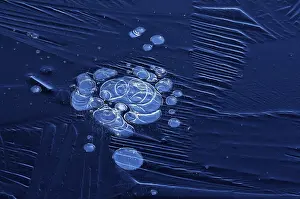 Air Bubble In Ice Stampe: Bubbles and structure in ice