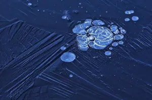 Air Bubble In Ice Stampe: Bubbles and structure in ice