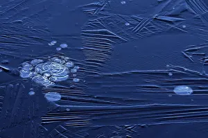 Frozen Winter Scene Stampe: Bubbles and structure in ice