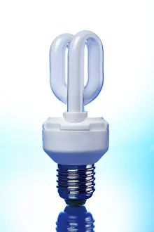 Energy Saving Bulb Stampe: Bulb