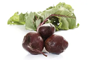 Beetroot Nutrition Stampe: Bunch of beetroot