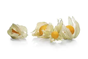 Lose Weight Diet Stampe: Bunch physalis with shadow on white background