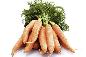 Studio Vegetable Shots Stampe: A bundle of carrots