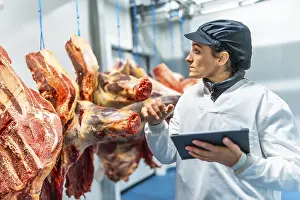 Protective Clothing For Workers Stampe: Butcher using technology in a innovative meat processing factory checking the meat using digital tablet