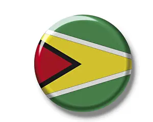 Immagini Correlate Stampe: Il bottone, bandiera del Guyana.