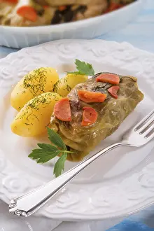 Healthy Lunch Options Nutrition Stampe: Cabbage roll