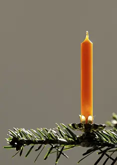 Christmas Tree Decoration Stampe: Candle