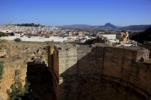 Spanish Fortification Architecture Stampe: Part of the castle complex, Alcazaba