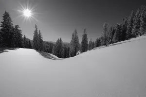Winter Forest Photography Stampe: Winter forest with mountain range in backlight