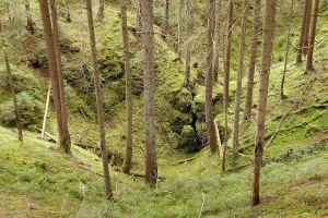 Upper Palatinate Nature Park Stampe: Doline, solution doline, collapse doline
