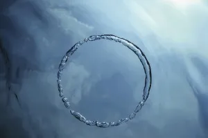 Underwater Ring Stampe: Bubble Ring Underwater, Ring Bubble