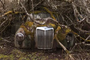 Abandoned Passenger Cars Stampe: Oldtimer, Front View with grill