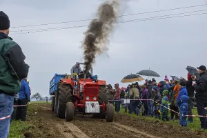 Classic Car Show Stampe: Tractor Pulling