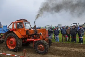 Antique Tractors For Sale Stampe: Tractor Pulling
