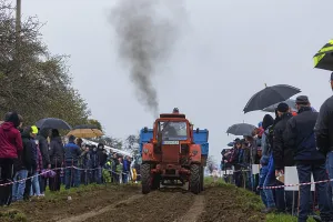 Classic Car Show Stampe: Tractor Pulling