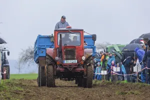 Classic Car Show Stampe: Tractor Pulling