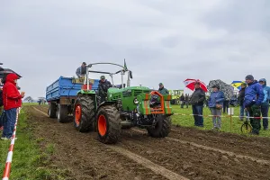 Classic Car Show Stampe: Tractor Pulling