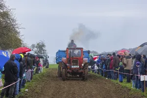 Classic Car Show Stampe: Tractor Pulling