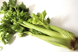 Leafy Greens Food Stampe: Celeriac