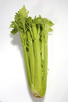 Leafy Vegetable Images Stampe: Celery