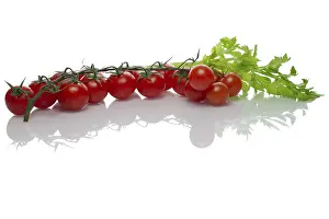 Vegetable Still Life Stampe: Celery and tomato with reflection on white background