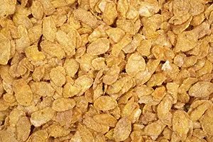 Cornflakes Nutrition Stampe: Cereal