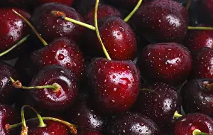Close Up Cherries Stampe: Cherries