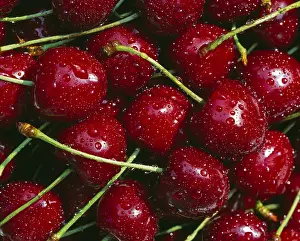 Cherry Nutrition Stampe: Cherries