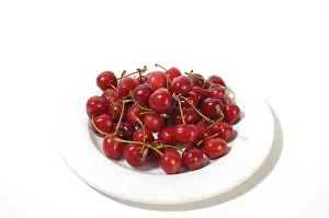 Cherry Nutrition Stampe: Cherries