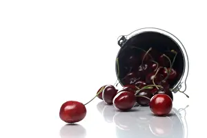 Studio Shot Cherries Stampe: Cherries