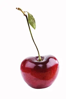 Red Cherry Fruit Stampe: Cherry