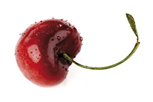 Red Cherry Fruit Stampe: Cherry