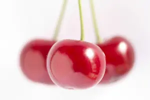 Cherry Fruit Stampe: Cherry