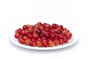 Cherry Fruit Stampe: Cherry, cherry