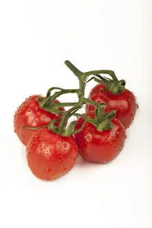 High Angle View Of Tomatoes Stampe: Cherry tomatoes