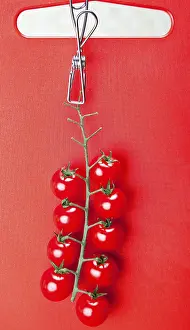 Cherry Tomatoes Stampe: Cherry tomatoes
