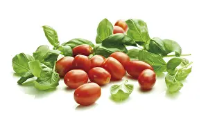 Cherry Tomatoes Nutrition Stampe: Cherry tomatoes with basil