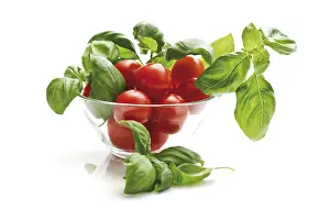 Cherry Tomatoes Nutrition Stampe: Cherry tomatoes with basil