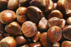 Winter Food Photography Stampe: Chestnuts