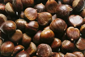 Winter Food Photography Stampe: Chestnuts