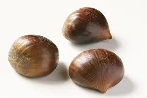 Sweet Chestnut Nutrition Stampe: Chestnuts