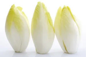 Fresh Vegetable Cutouts Stampe: Chicory