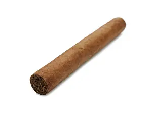 Indulgence Food Images Stampe: Cigar