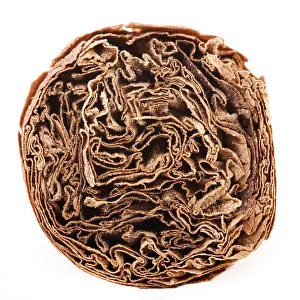 Unhealthy Smoking Habits Stampe: Cigar