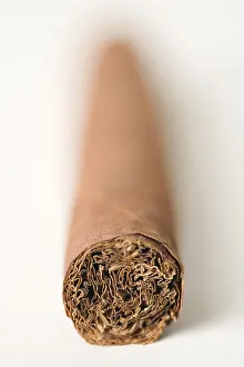 Unhealthy Smoking Habits Stampe: Cigar